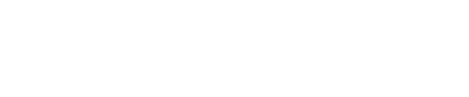 Cursos